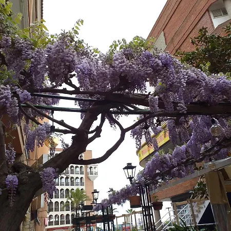 Con Terraza Vistas Al Mar Apartment Lloret de Mar