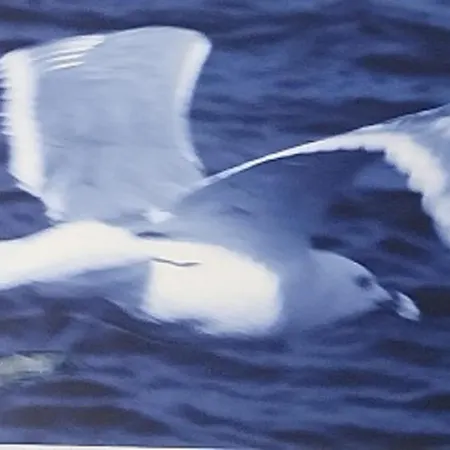 Apartmán Con Terraza Vistas Al Mar