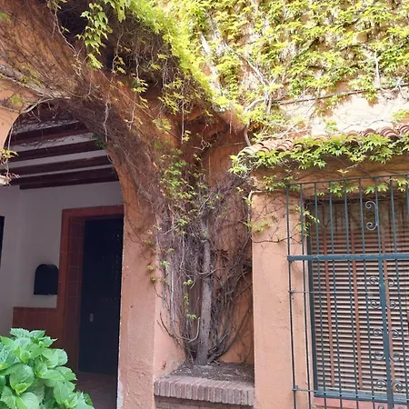 Con Terraza Vistas Al Mar Daire