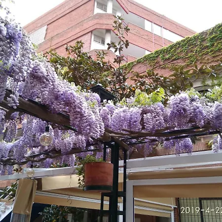 Con Terraza Vistas Al Mar