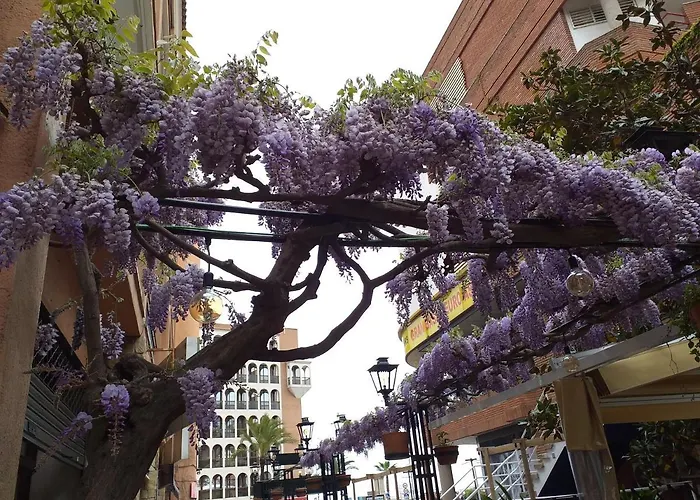 Con Terraza Vistas Al Mar Appartamento Lloret de Mar