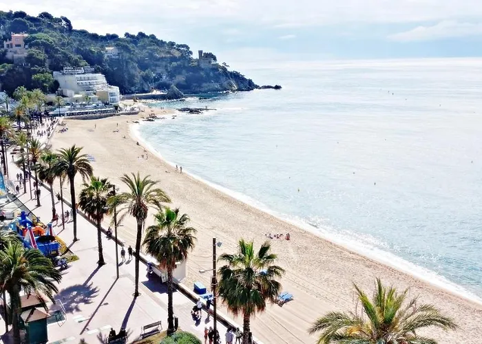 Con Terraza Vistas Al Mar *