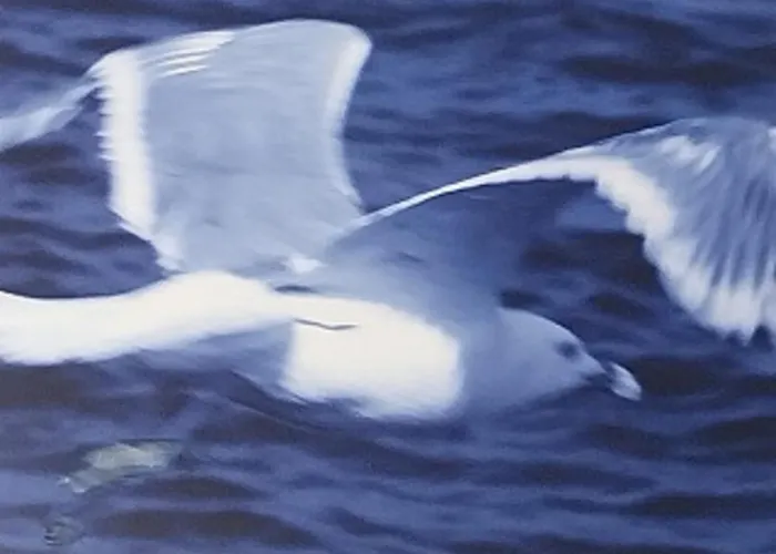 Appartamento Con Terraza Vistas Al Mar