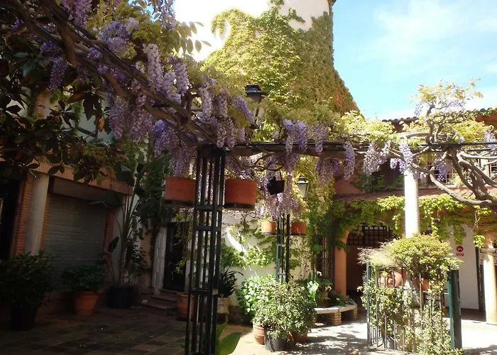 Con Terraza Vistas Al Mar Appartement Lloret de Mar