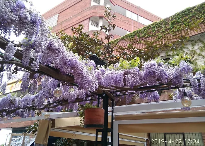 Con Terraza Vistas Al Mar