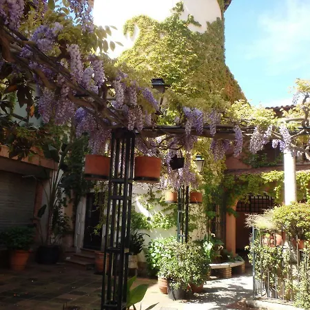 Con Terraza Vistas Al Mar Appartamento Lloret de Mar
